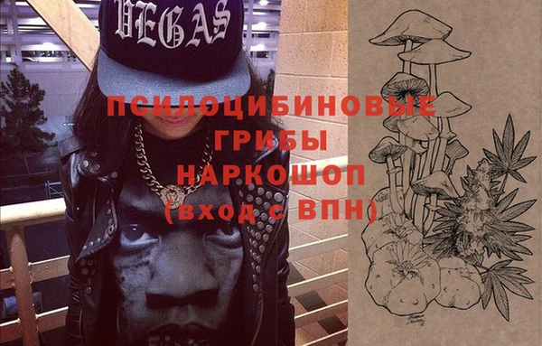 гидропоника Каменногорск