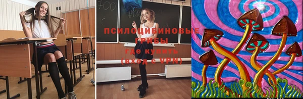 гидропоника Каменногорск